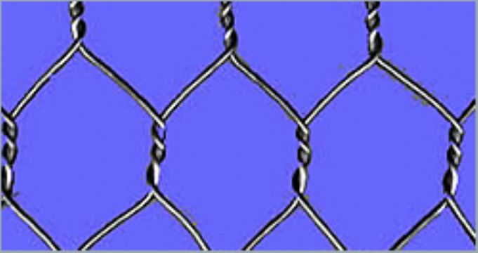 Hexagonal Wire Netting 